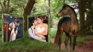  Рамка для фотошоп - Лошадь смотрит на ваше фото 