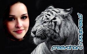  Рамка для фотомонтажа - Грозный белый тигр 