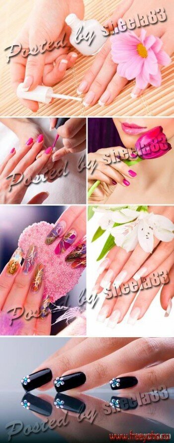     -   | Woman hands and Manicure