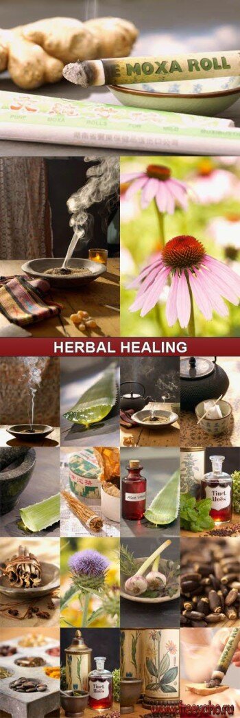   -  | Veer Fancy - Herbal Healing
