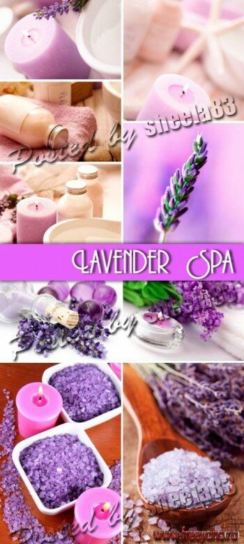 - -  -  | Lavender Spa
