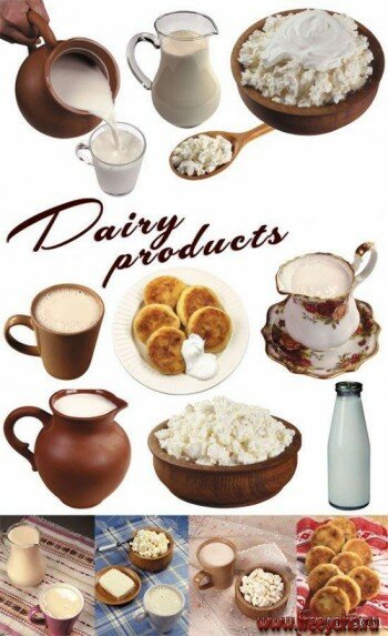 Dairy products |  