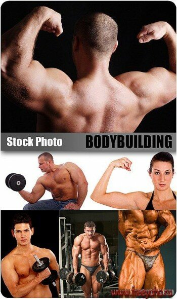 Stock Photo - Bodybuilding | 