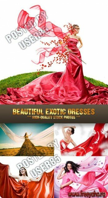     -   | Beautiful woman and dress