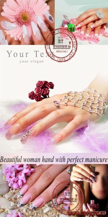     -   | Woman hands & manicure clipart