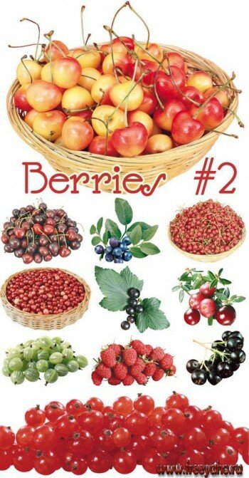 Berries | 