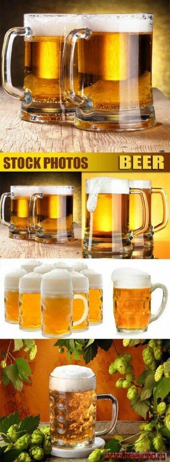 Beer | 