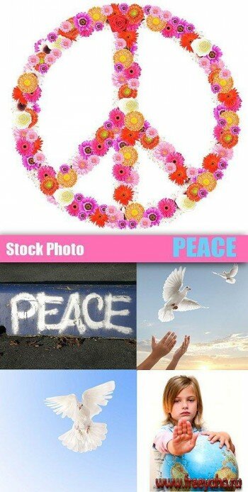 ,    -   | People & peace