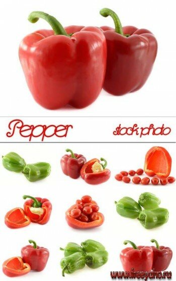 Pepper - stock photo | 