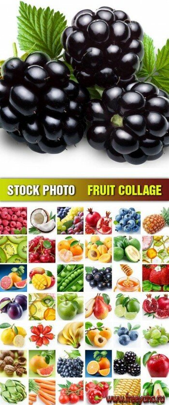 Stock Photo - Fruit Collage | 