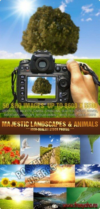 50  ,    | Nature Landscapes and Animals