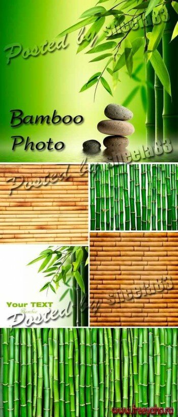  -   | Bamboo backgrounds