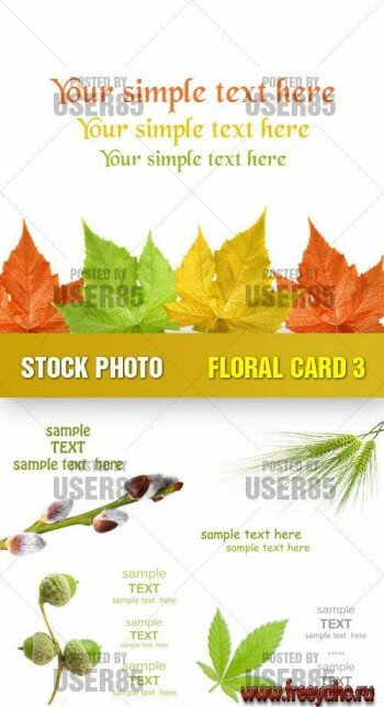    | Stock Photo - Floral Card 3