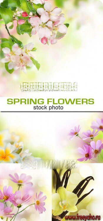   -   | Spring flower backgrounds