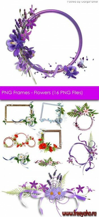 Оригинальные цветочные рамочки в PNG формате