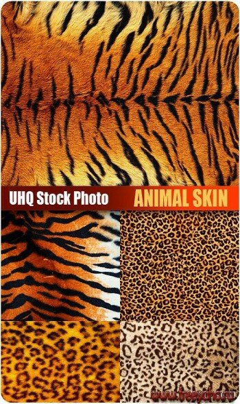 Текстуры - шкуры животных | Stock Photo - Animal Skin