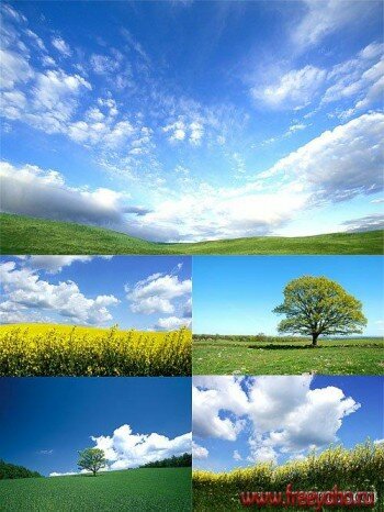    | Stock photo - Background the nature 5