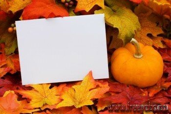  ,    -   | Autumn backgrounds, leaves & pumpkin
