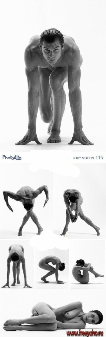    -   2 | PhotoAlto PA115 Body Motion
