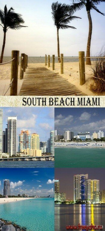 Южные пляжи Маями - растровый клипарт | Miami Beach