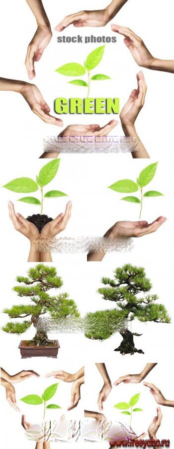 ,      -   | Hands, green shoots and bonsai trees