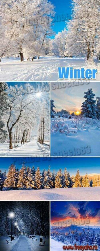     -   | Winter nature clipart