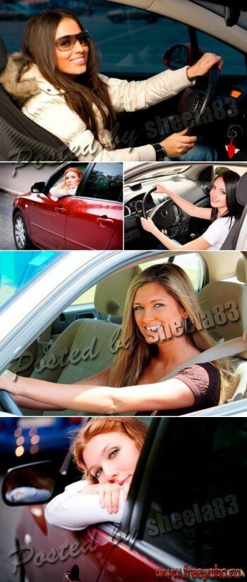      -  | Stock Photo - Woman driving the car