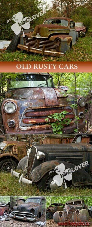   -  | Old rusty cars