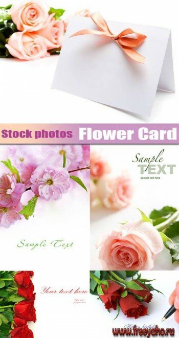 Flower cards | Цветочные карточки