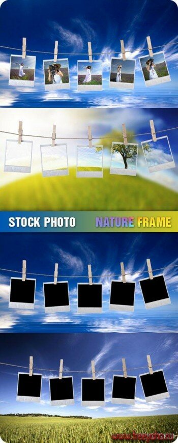 Stock Photo - Nature Frame |  