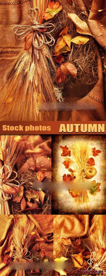        -   | Autumn backgrounds & leaves 2