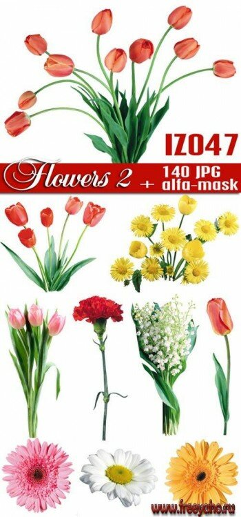 IZ047 Flowers 2 | Цветы