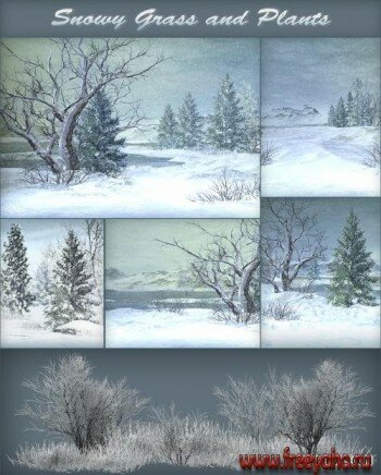     -   | Winter nature backgrounds