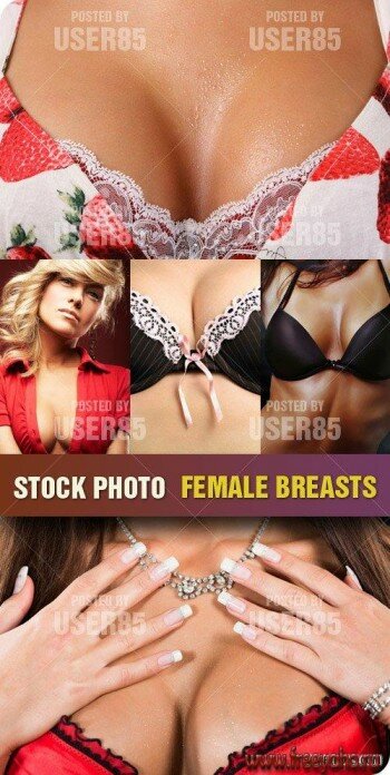   | Stock Photo - Female Breasts