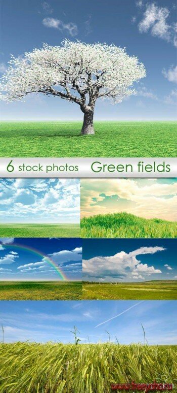 Green fields |  