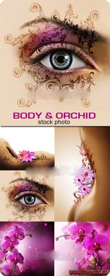     -   | Woman charms and orchid