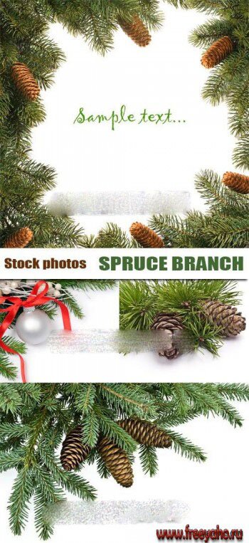     -   | New Year spruce branch