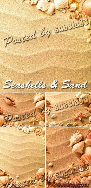     -   | Sand and Seashells