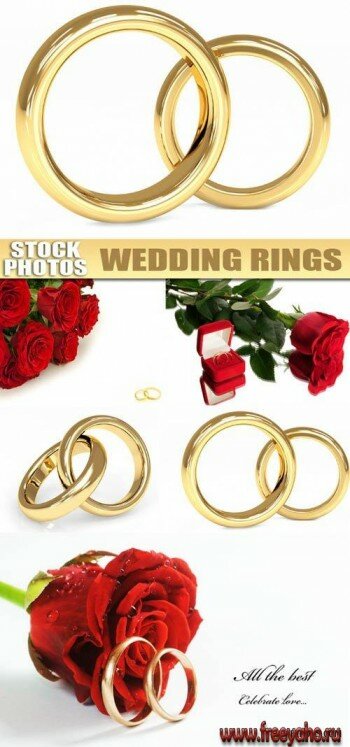 Wedding rings |  
