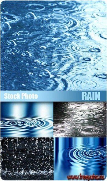 Stock Photo - Rain