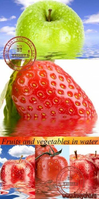    -   | Fruits & water