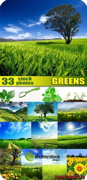 Amazing SS - Green Nature | 