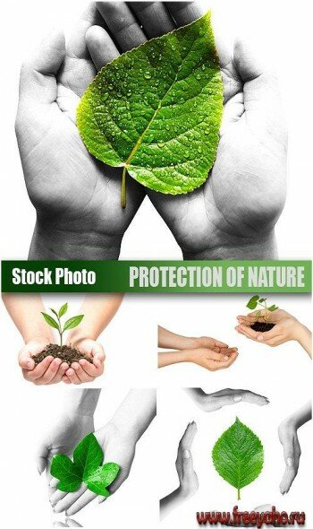 Stock Photo - Protection of nature | Защита природы