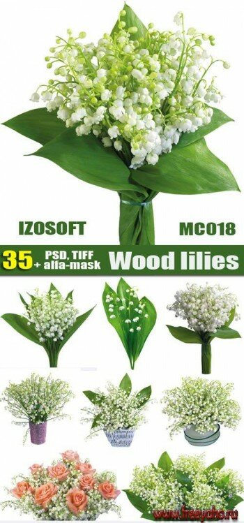 MC018 Wood lilies | Ландыши