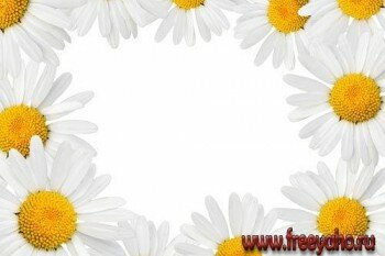     | Flower card & frames