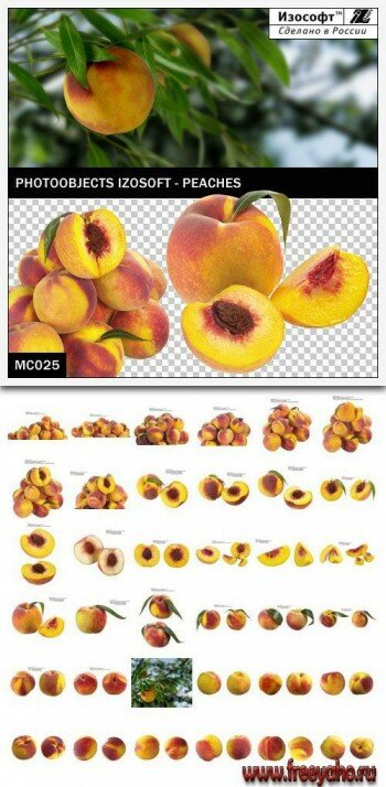  -   | Izosoft - Peaches