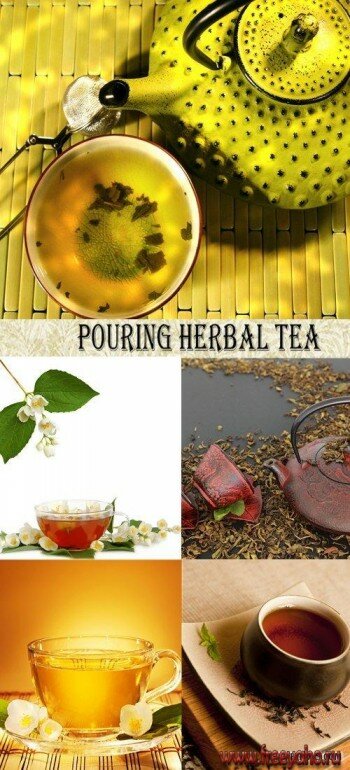   -   | Herbal Tea Clipart