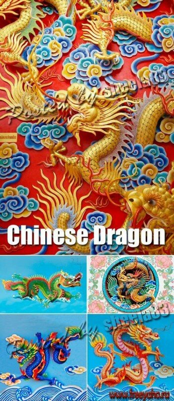   -  | Stock Photo - Chinese Dragon