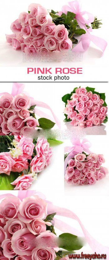    -   | Delicate pink roses