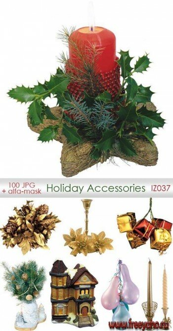 Holiday Accessories |  